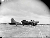 WhG346-42_2.JPG