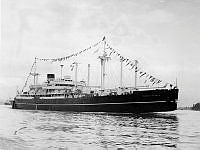 ALB2011338016.jpg