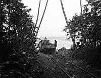 PR8293.jpg