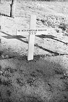 PR7835.jpg