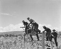 DM128-51.jpg