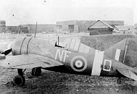 MUS090164.jpg