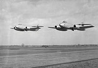 ALB855081b005.jpg