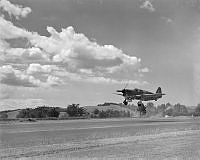 ArdG1036-45.jpg