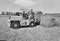 WgG492-6a-79.JPG