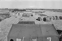 WgG492-11a-79.JPG