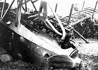 ALB8319526579.jpg