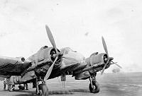 ALB2511328003.jpg