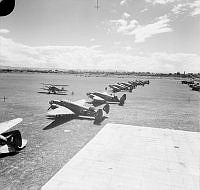 NelG966-42_1.JPG