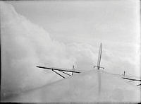 ALB8319526424.jpg