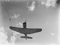 PR1591.jpg