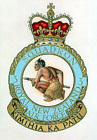 3 SQUADRON_1_1.tif