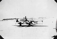 ALB845871a068.jpg