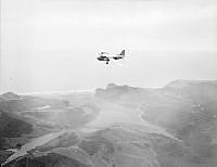 WhG4203-53_1_1.JPG