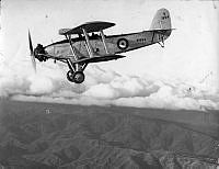 ALB845871b071.jpg