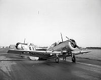 WgG3335-53.jpg