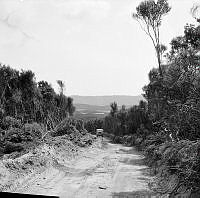 PRRef2-87-63.JPG
