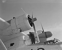 DM274-52.jpg