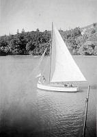 ALB2604117058.jpg