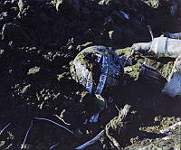 CrNZ6203I2.JPG