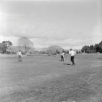 WgG5542-69.jpg