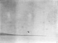 ALB8319526051.jpg