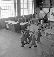 WgG4178-68.jpg