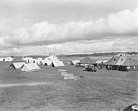 WhG7749-64.jpg