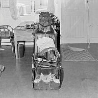OhG298-74.JPG