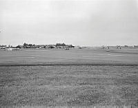 WgG293-79.jpg