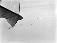 PR3271.JPG