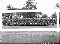 WhG1164-43_1.JPG