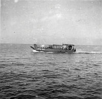 ALB844621c113.jpg