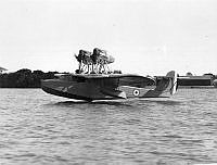 ALB862456284.jpg