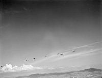 OhG4446-52.jpg