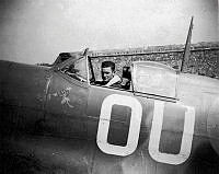MUS980753.jpg