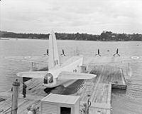 WhG515-59.jpg