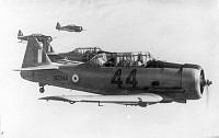 MUS1400411_1.jpg