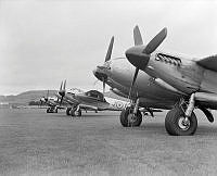 DM92-51.jpg