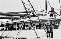 ALB8319526223.jpg