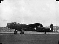 ALB971531017.jpg