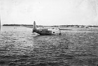 ALB845871b049.jpg