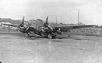 ALB86260098.jpg