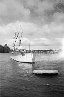 ALB2604117060.jpg