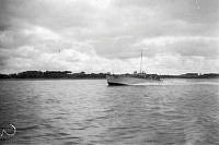 ALB2604117059.jpg