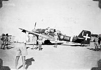 ALB191909159.JPG
