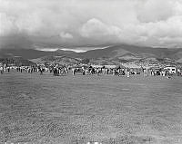 WgG1471-78.jpg