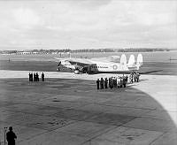 OhG482-47.jpg