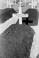 PR7839.jpg