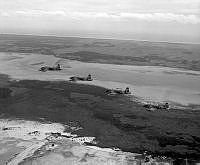 OhG883-83.jpg